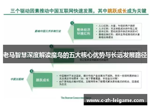 老马智慧深度解读魔鸟的五大核心优势与长远发展路径