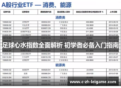 足球心水指数全面解析 初学者必备入门指南