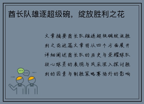 酋长队雄逐超级碗，绽放胜利之花