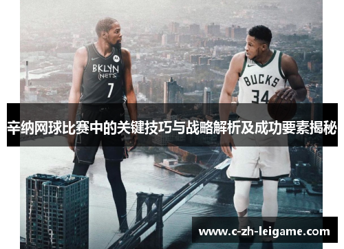 辛纳网球比赛中的关键技巧与战略解析及成功要素揭秘